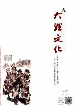 大理文明杂志